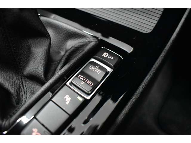 ＢＭＷ Ｘ１ Ｘドライブ ２０Ｉ Ｘライン ４ＷＤ H29年 (関東) 99