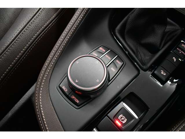 ＢＭＷ Ｘ１ Ｘドライブ ２０Ｉ Ｘライン ４ＷＤ H29年 (関東) 99