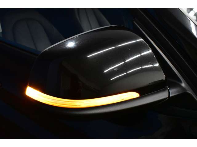 ＢＭＷ Ｘ１ Ｘドライブ ２０Ｉ Ｘライン ４ＷＤ H29年 (関東) 99