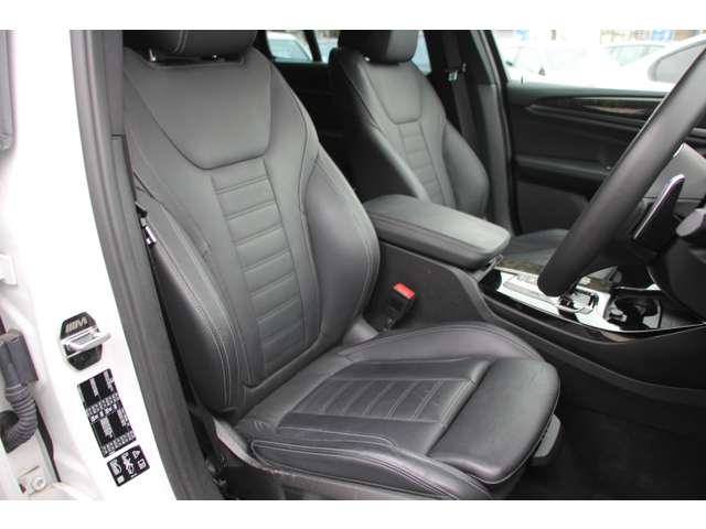 ＢＭＷ Ｘ３ Ｘドライブ２０Ｄ Ｍスポーツ ディーゼルターボ ４ＷＤ H30年 (関東) 99