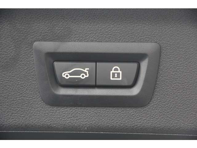 ＢＭＷ Ｘ３ Ｘドライブ２０Ｄ Ｍスポーツ ディーゼルターボ ４ＷＤ H30年 (関東) 99