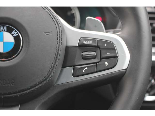 ＢＭＷ Ｘ３ Ｘドライブ２０Ｄ Ｍスポーツ ディーゼルターボ ４ＷＤ H30年 (関東) 99