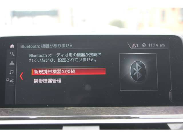 ＢＭＷ Ｘ３ Ｘドライブ２０Ｄ Ｍスポーツ ディーゼルターボ ４ＷＤ H30年 (関東) 99