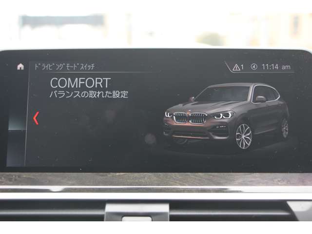 ＢＭＷ Ｘ３ Ｘドライブ２０Ｄ Ｍスポーツ ディーゼルターボ ４ＷＤ H30年 (関東) 99