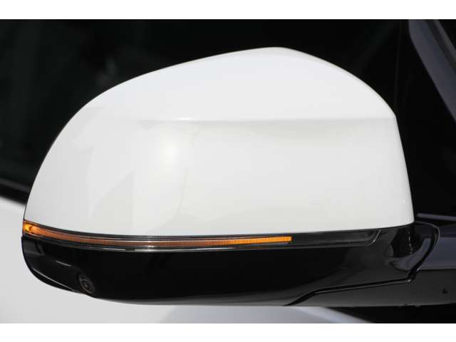 ＢＭＷ Ｘ３ Ｘドライブ２０Ｄ Ｍスポーツ ディーゼルターボ ４ＷＤ H30年 (関東) 99