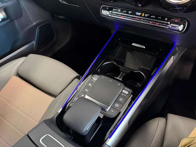 メルセデスベンツ ＥＱＢ ２５０ ＭＰ２０２３０１ R6年 (関東) 99