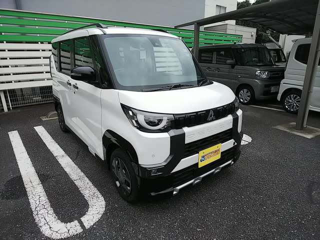 三菱 デリカ　ミニ ６６０ Ｔ R6年 (関東) 99