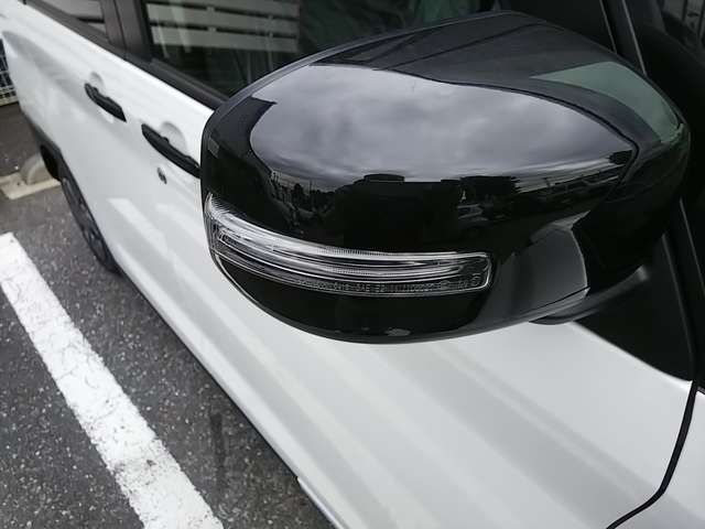 三菱 デリカ　ミニ ６６０ Ｔ R6年 (関東) 99