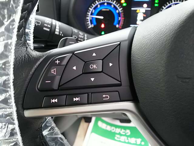 三菱 デリカ　ミニ ６６０ Ｔ R6年 (関東) 99