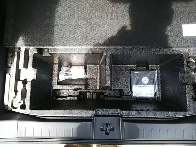 三菱 デリカ　ミニ ６６０ Ｔ プレミアム R6年 (関東) 99