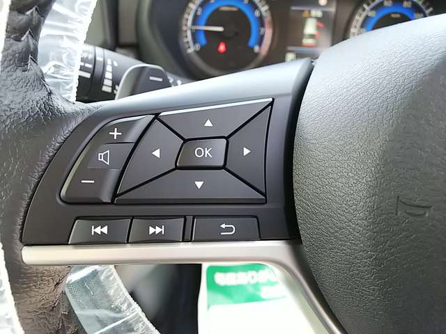 三菱 デリカ　ミニ ６６０ Ｔ プレミアム R6年 (関東) 99