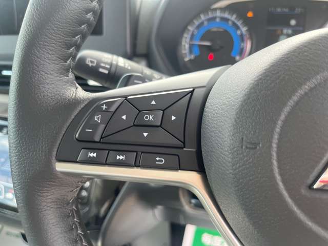 三菱 デリカ　ミニ ６６０ Ｇ プレミアム R6年 (関東) 99