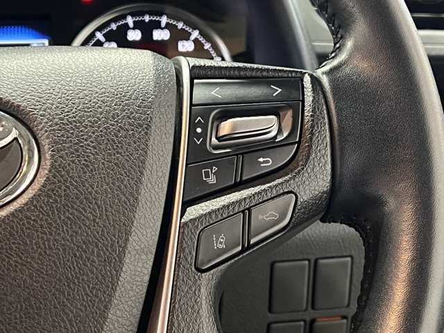 トヨタ ヴェルファイア ２．５ Ｚ H30年 (関東) 99