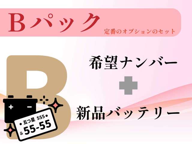 トヨタ ヴェルファイア ２．５ Ｚ H30年 (関東) 99