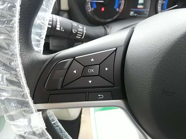 日産 ルークス ６６０ Ｓ R6年 (関東) 99