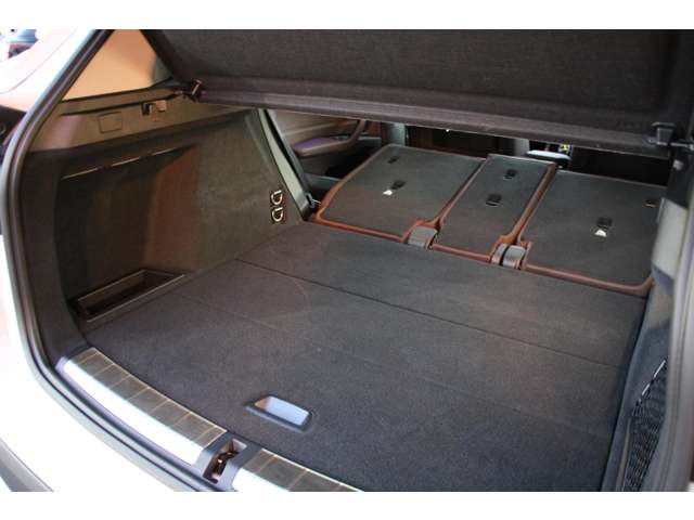 ＢＭＷ Ｘ１ Ｘドライブ １８Ｄ Ｘライン ４ＷＤ R2年 (関東) 99