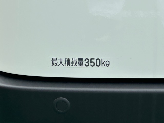 ダイハツ ハイゼットカーゴ ６６０ スペシャルクリーン R7年 (東海) 99