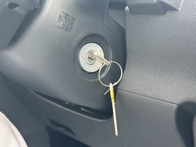 ダイハツ ハイゼットカーゴ ６６０ スペシャルクリーン R7年 (東海) 99