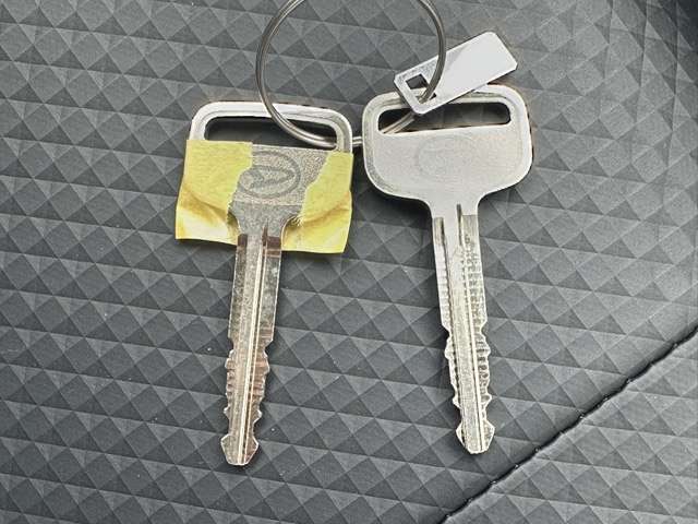 ダイハツ ハイゼットカーゴ ６６０ スペシャルクリーン R7年 (東海) 99