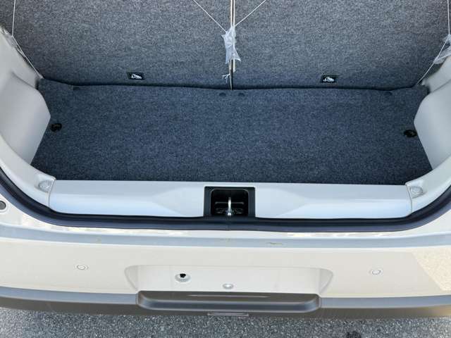 スズキ アルトラパン　ＬＣ ＬＣ ６６０ Ｘ R6年 (中国) 99