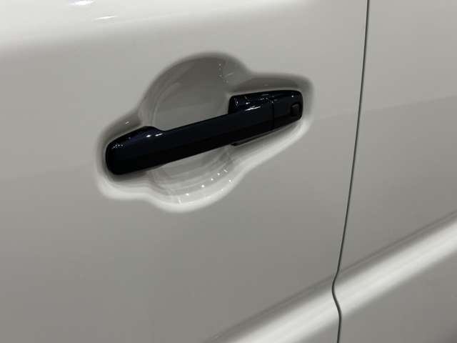 スズキ ハスラー ６６０ タフワイルド R6年 (中国) 99