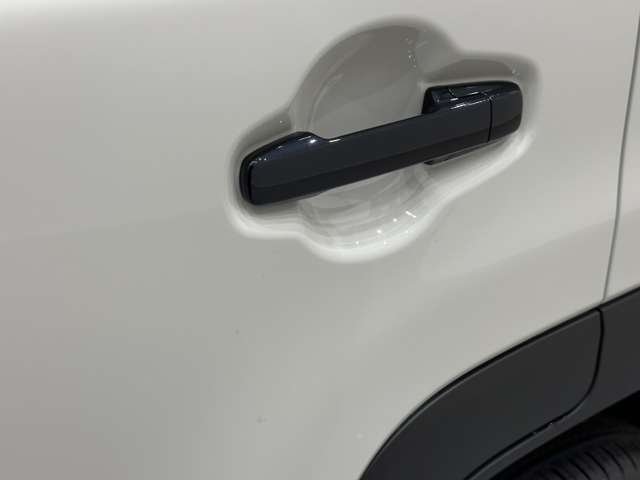 スズキ ハスラー ６６０ タフワイルド R6年 (中国) 99