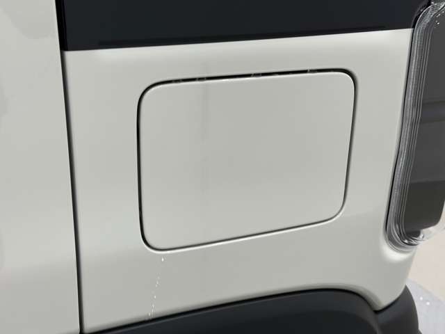 スズキ ハスラー ６６０ タフワイルド R6年 (中国) 99