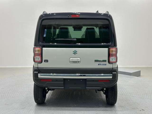 スズキ ハスラー ６６０ タフワイルド R6年 (中国) 99