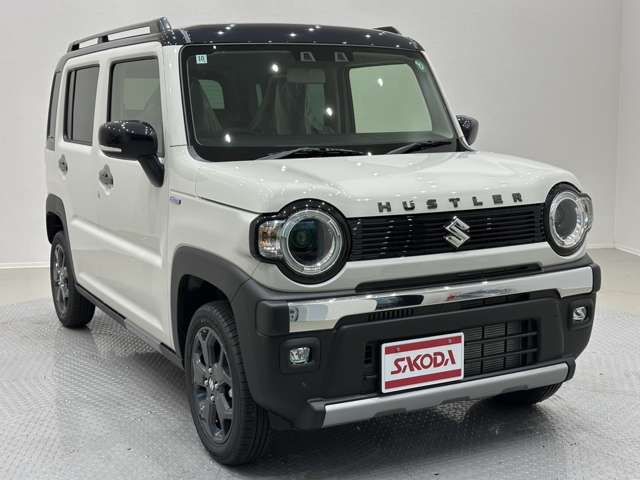 スズキ ハスラー ６６０ タフワイルド R6年 (中国) 99