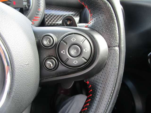 ミニ ミニ クーパーＳ ５ドア H29年 (中国) 99