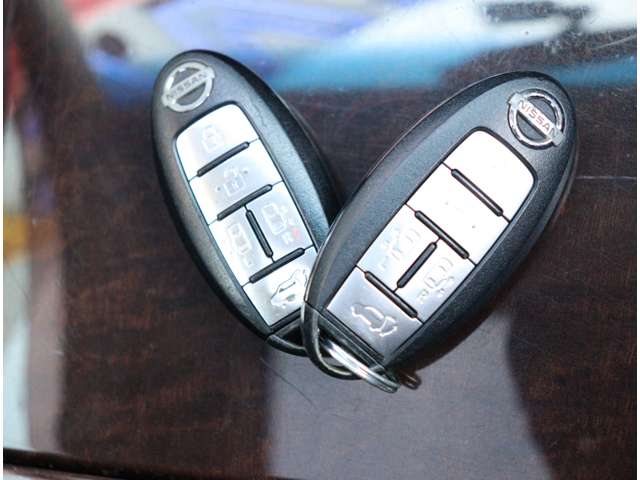 日産 エルグランド ３．５ ３５０ハイウェイスター プレミアム H22年 (関東) 99