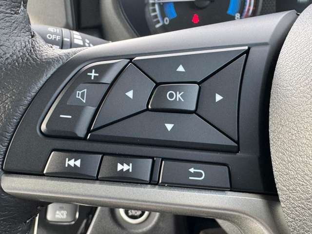 三菱 デリカ　ミニ ６６０ Ｇ プレミアム R7年 (九州・沖縄) 99