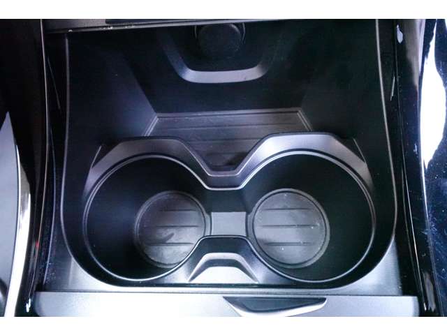 ＢＭＷ Ｘ１ Ｓドライブ １８Ｉ Ｍスポーツ ＤＣＴ H30年 (近畿) 99