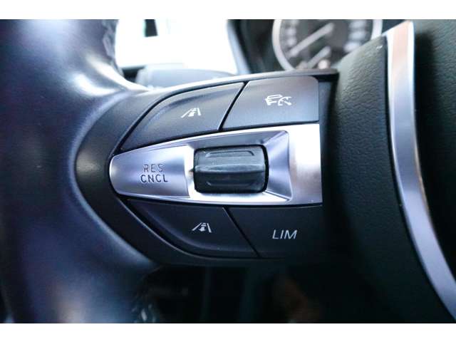 ＢＭＷ Ｘ１ Ｓドライブ １８Ｉ Ｍスポーツ ＤＣＴ H30年 (近畿) 99