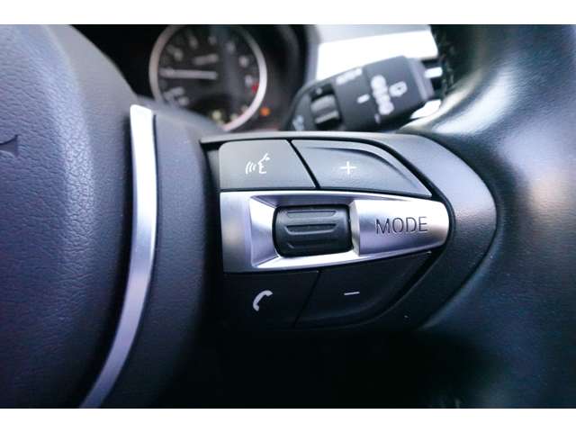 ＢＭＷ Ｘ１ Ｓドライブ １８Ｉ Ｍスポーツ ＤＣＴ H30年 (近畿) 99