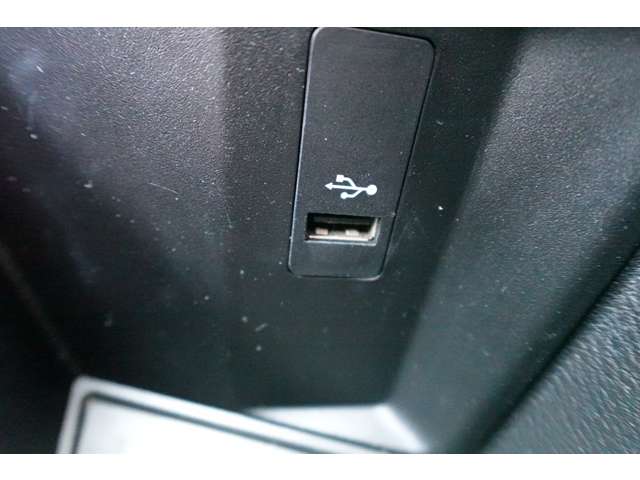 ＢＭＷ Ｘ１ Ｓドライブ １８Ｉ Ｍスポーツ ＤＣＴ H30年 (近畿) 99