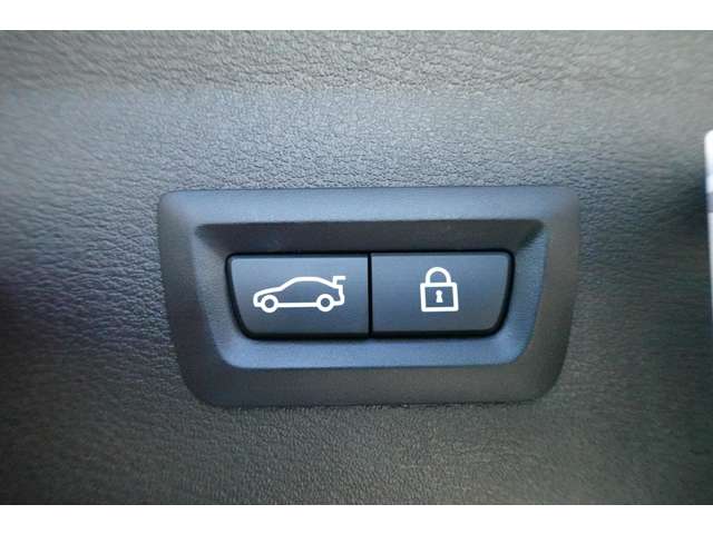 ＢＭＷ Ｘ１ Ｓドライブ １８Ｉ Ｍスポーツ ＤＣＴ H30年 (近畿) 99