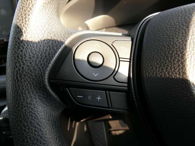 トヨタ ＲＡＶ４ ２．５ ハイブリッド Ｘ R1年 (中国) 99