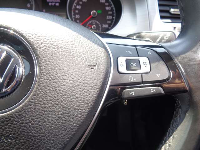 フォルクスワーゲン ゴルフ ＴＳＩ　コンフォートライン H27年 (中国) 99