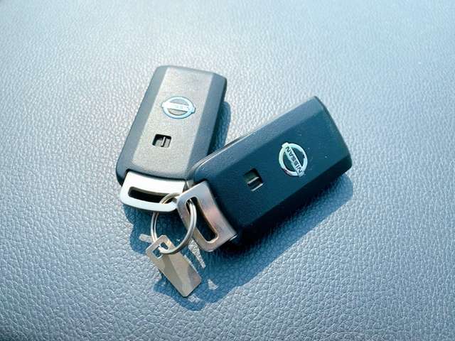 日産 デイズ ６６０ ハイウェイスターＧ H26年 (九州・沖縄) 99