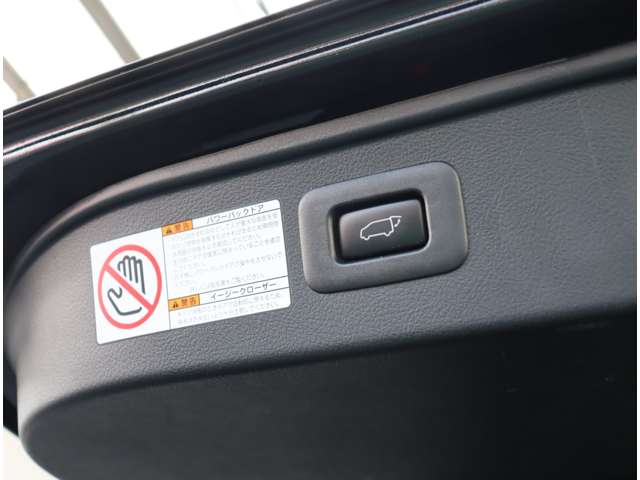 トヨタ ヴェルファイア ２．５ Ｚ Ａエディション ゴールデンアイズ H29年 (関東) 99