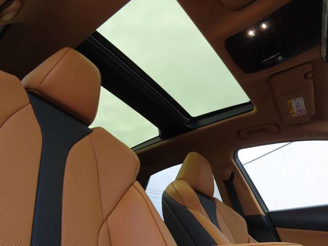 レクサス ＮＸ３５０ｈ ３５０Ｈ Ｆスポーツ ４ＷＤ R6年 (関東) 99