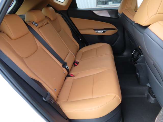 レクサス ＮＸ３５０ｈ ３５０Ｈ Ｆスポーツ ４ＷＤ R6年 (関東) 99