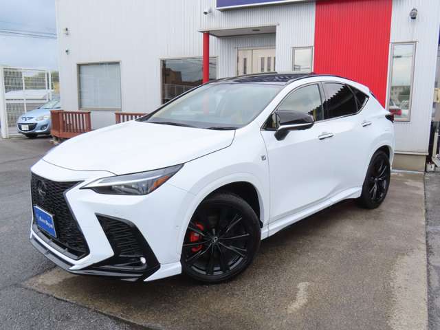 レクサス ＮＸ３５０ｈ ３５０Ｈ Ｆスポーツ ４ＷＤ R6年 (関東) 99