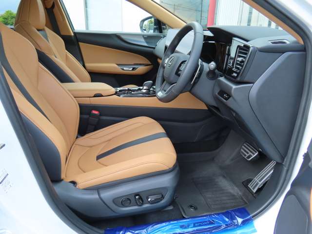 レクサス ＮＸ３５０ｈ ３５０Ｈ Ｆスポーツ ４ＷＤ R6年 (関東) 99