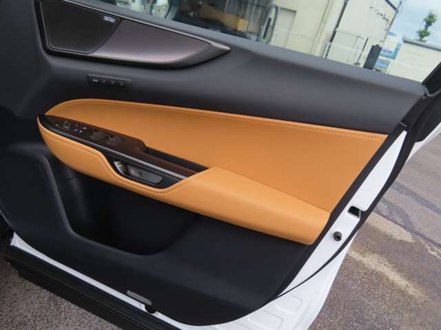 レクサス ＮＸ３５０ｈ ３５０Ｈ Ｆスポーツ ４ＷＤ R6年 (関東) 99