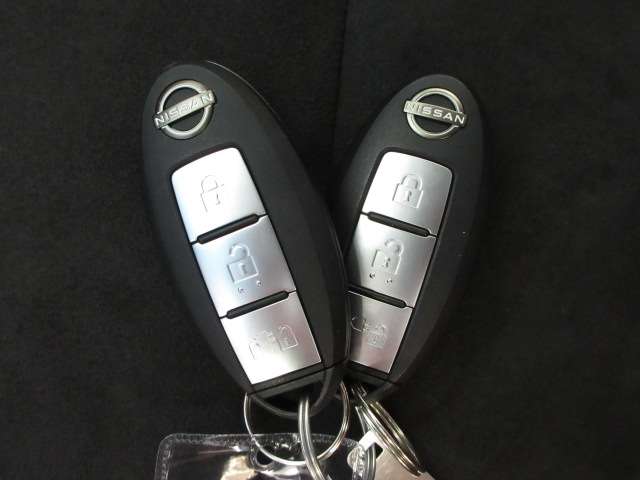 日産 リーフ ＮＩＳＭＯ R5年 (九州・沖縄) 99