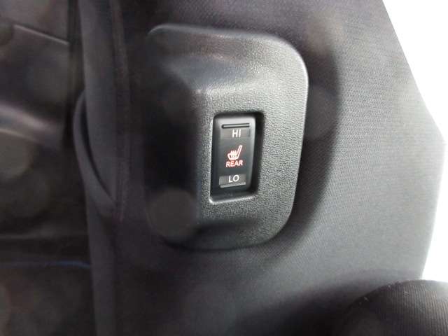 日産 リーフ ｅ＋　Ｘ R5年 (九州・沖縄) 99