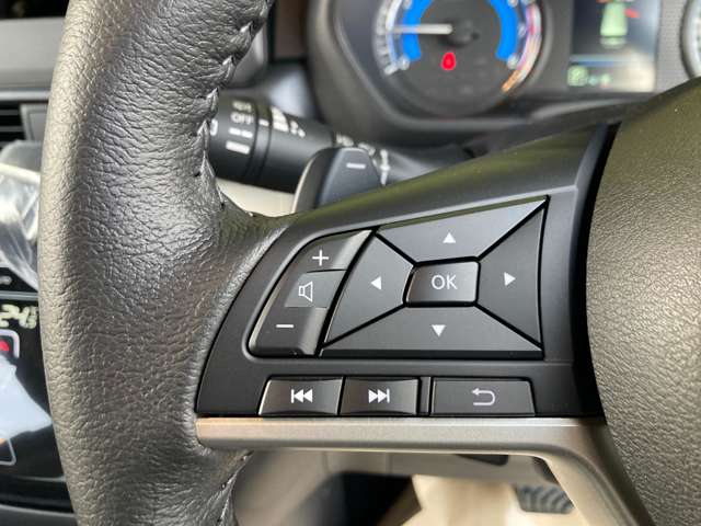 三菱 デリカ　ミニ ６６０ Ｔ プレミアム ４ＷＤ R6年 (東北) 99