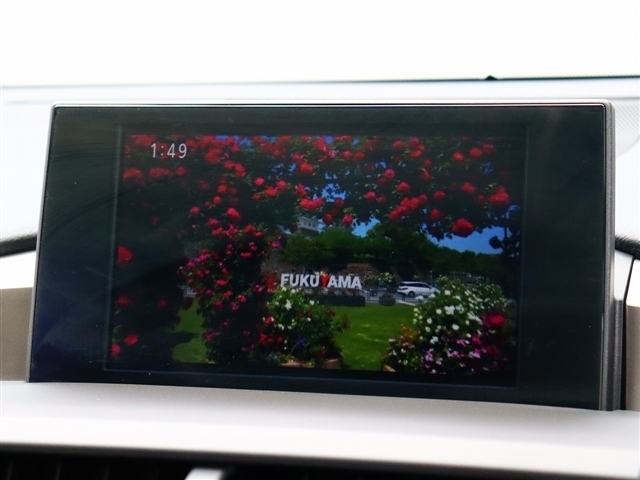 レクサス ＮＸ２００ｔ ２００Ｔ Ｆスポーツ ４ＷＤ H28年 (関東) 99